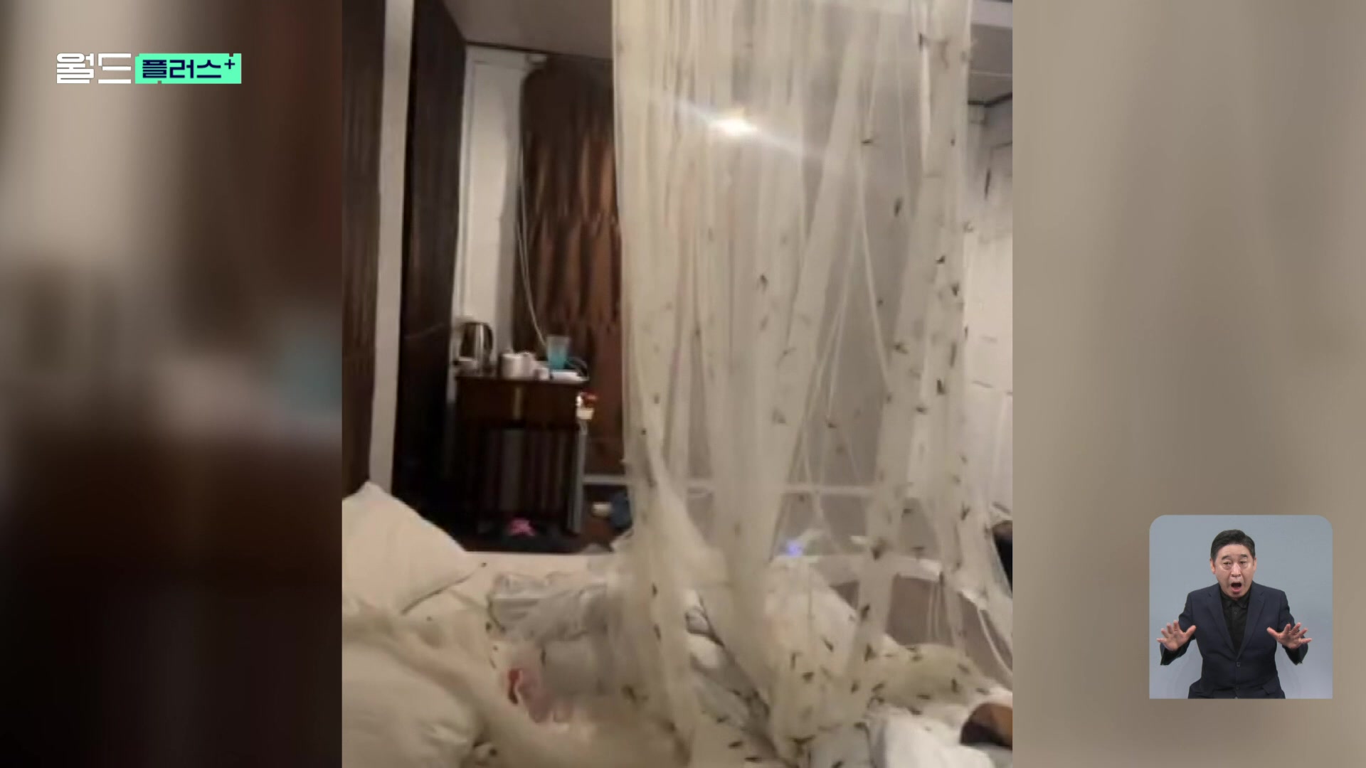 [월드 플러스] 수천 마리 나방떼와 뱀…호텔 방 안의 실제상황