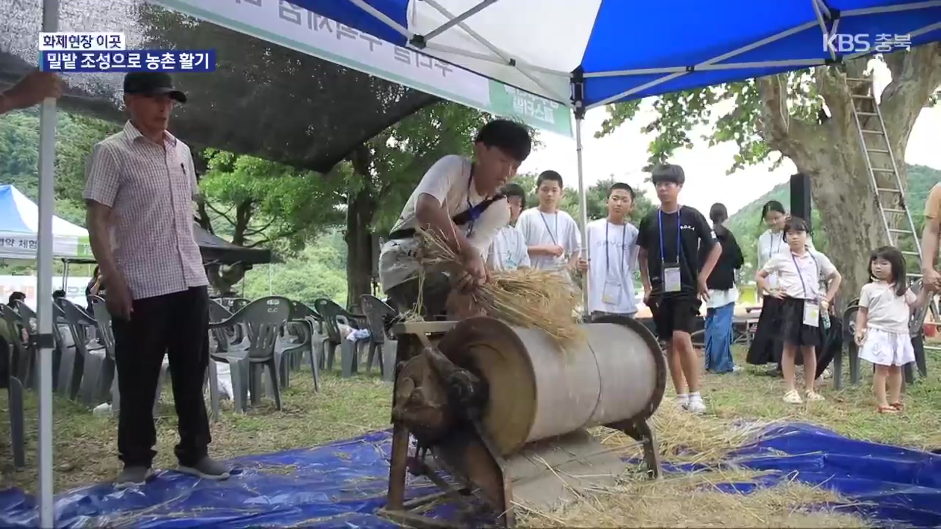 [화제현장 이곳] 수확하고 맛보고…농촌 마을 ‘우리 밀 축제’