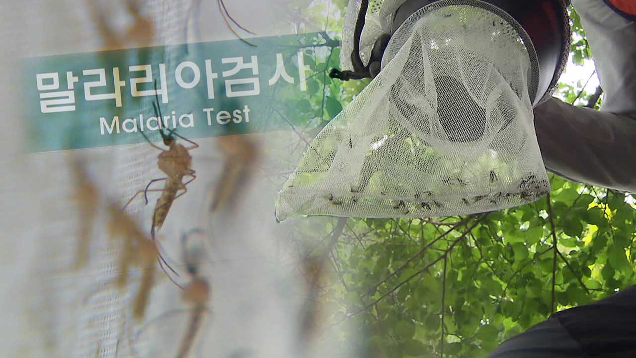 서울서 2번째 ‘말라리아’ 경보…도심 확산 비상