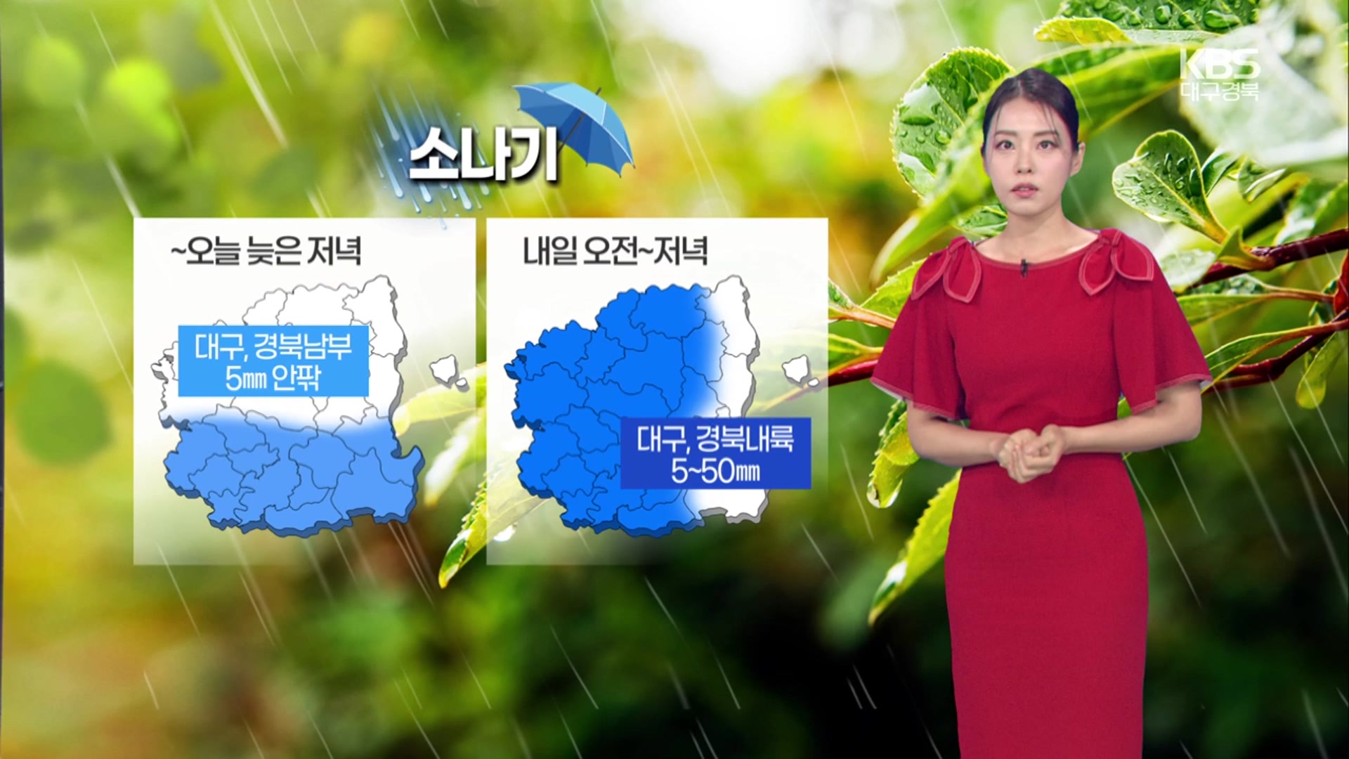 [날씨] 대구·경북 내일 오전~저녁 최대 50mm 소나기…폭염특보 발효