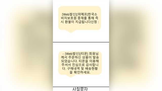 ‘티메프 환불’ 내세운 사기도<br> 등장…금감원 “환불 문자 믿지 마세요”