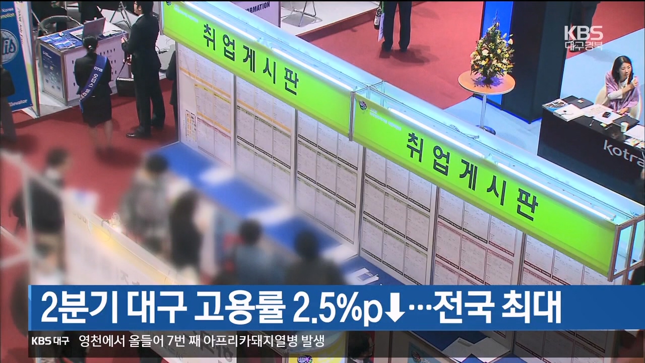 2분기 대구 고용률 2.5%p↓…전국 최대