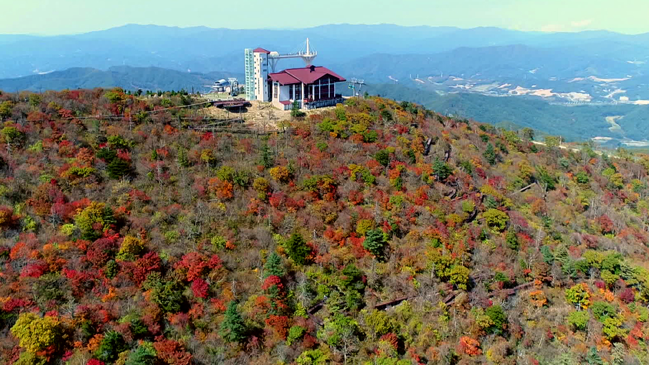 폭염에 단풍도 밀렸다…설악산은 한 달 뒤 절정