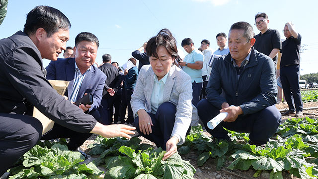 농식품부 장관 “중국산 배추 1,100t 수입…배춧값 다음 달 정상화 예상”