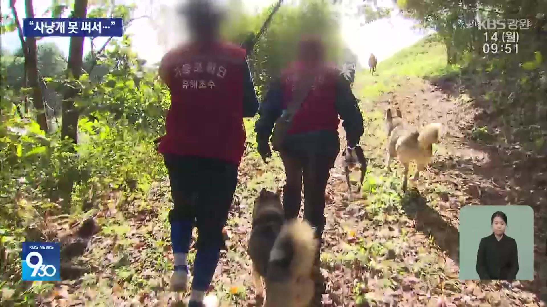 “막지도 잡지도 못해요”…사냥개 없어 멧돼지 퇴치 난항