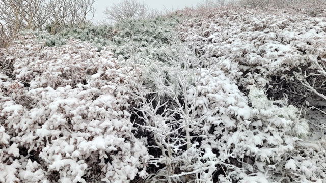 설악산에 올가을 첫눈…지난해보다 이틀 이른 기록