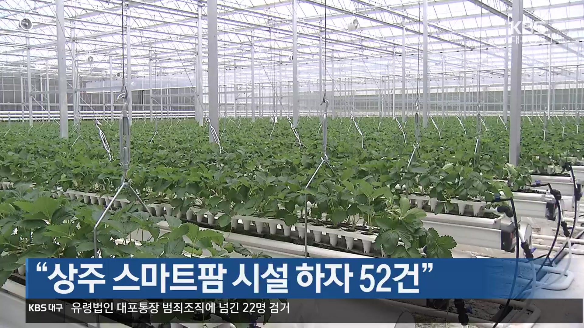 “상주 스마트팜 시설 하자 52건”