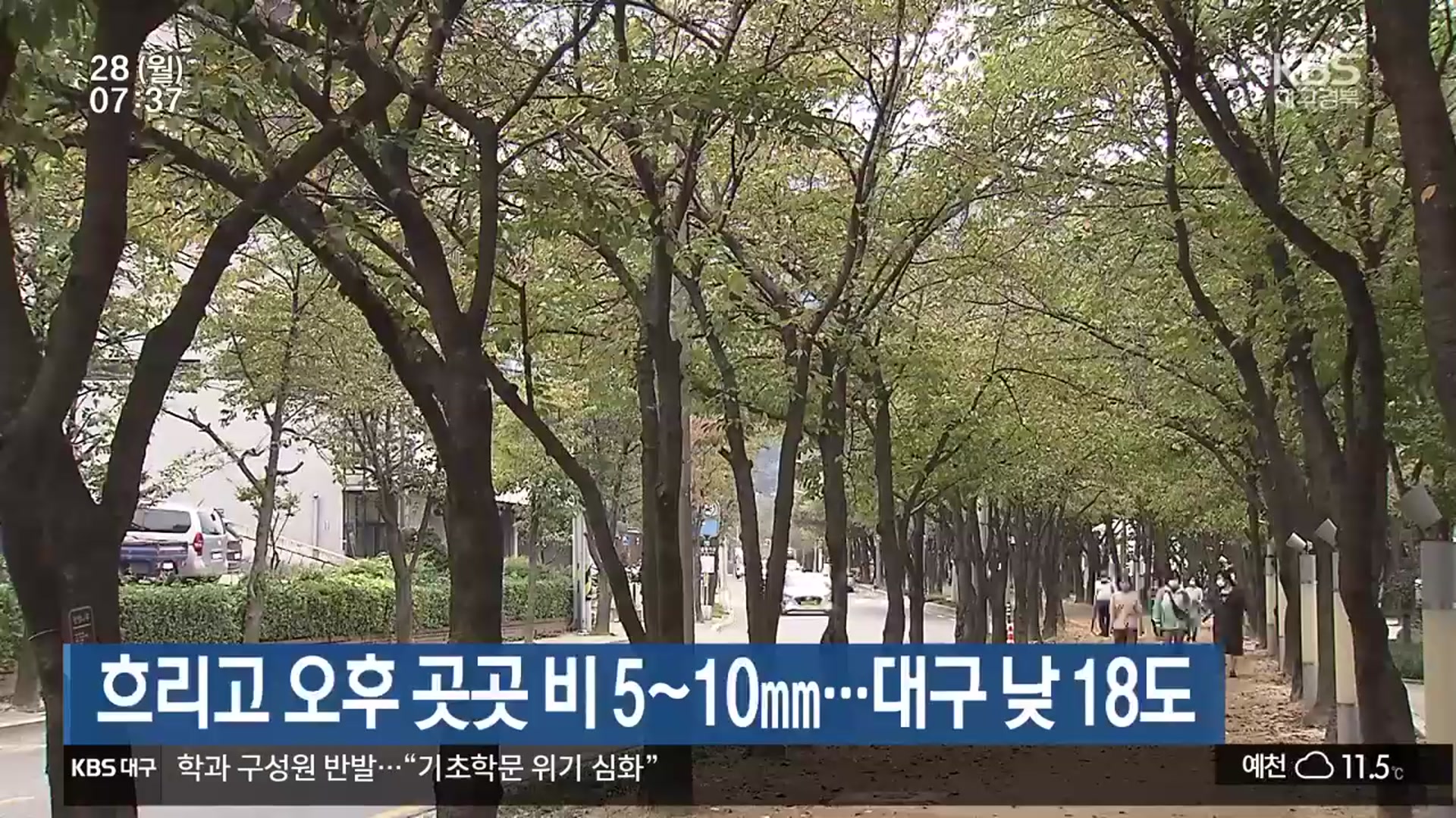 대구·경북 흐리고 오후 곳곳 비 5~10mm…대구 낮 18도