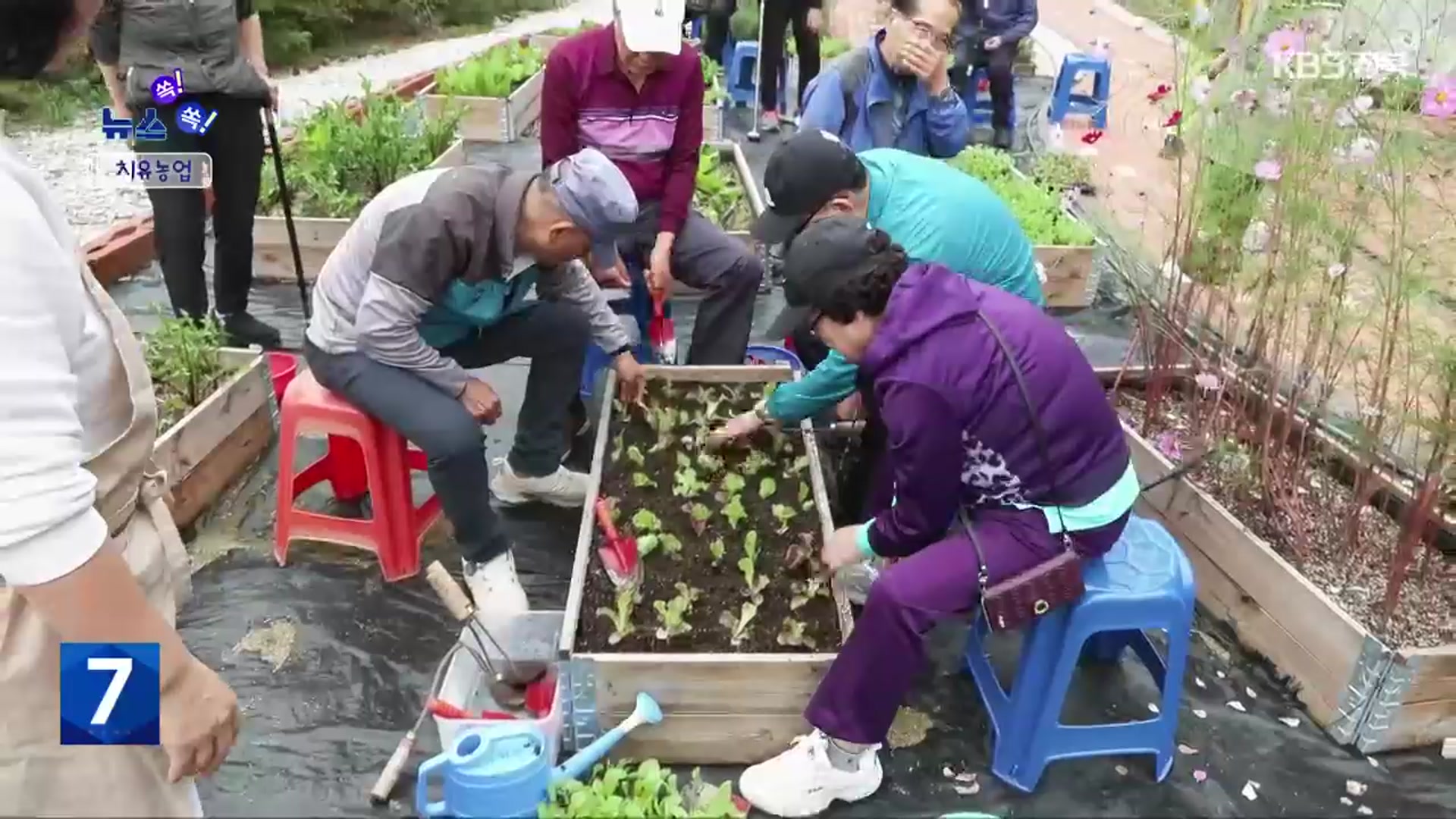 [뉴스 쏙! 쏙!] “자연이 주는 힐링”…치유농업 효과는?