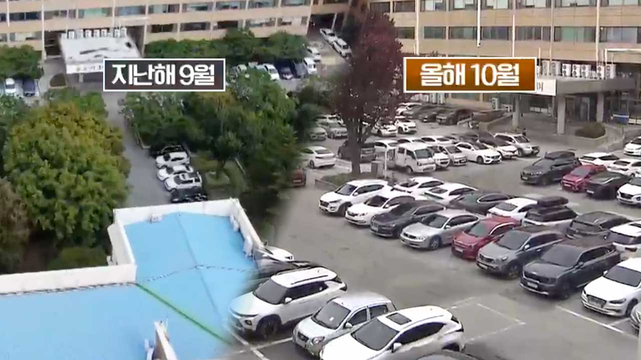 충북도청 나무 77% 사라져…이식한 나무는 고사 위기