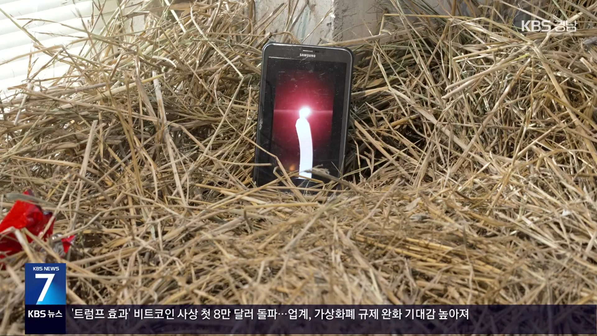 [현장속으로] ‘지리산 국제환경 비엔날레’ 예술과 자연, AI가 만나다!