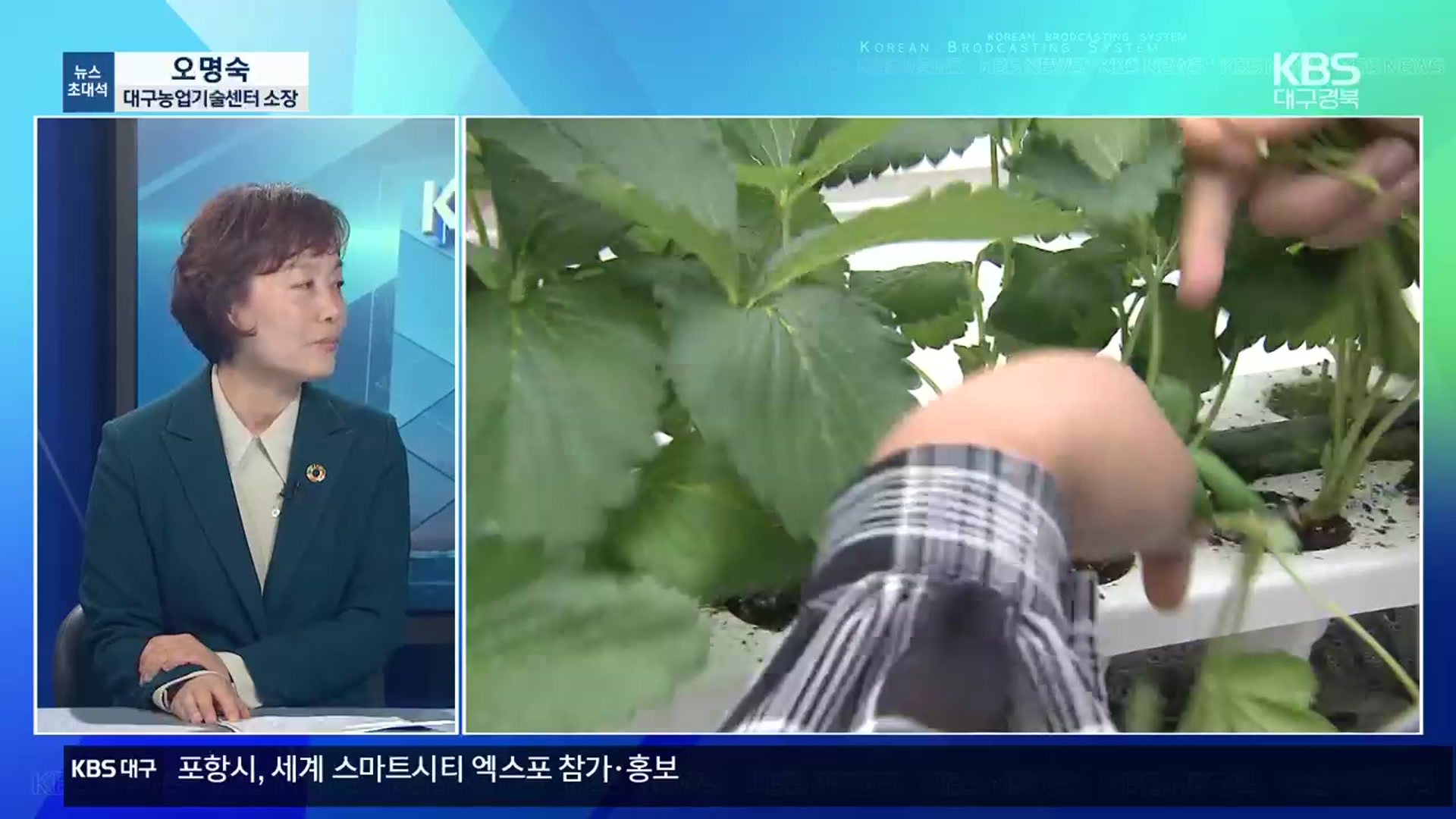 [뉴스초대석] 오늘 농업인의 날…대구 농업의 미래는?