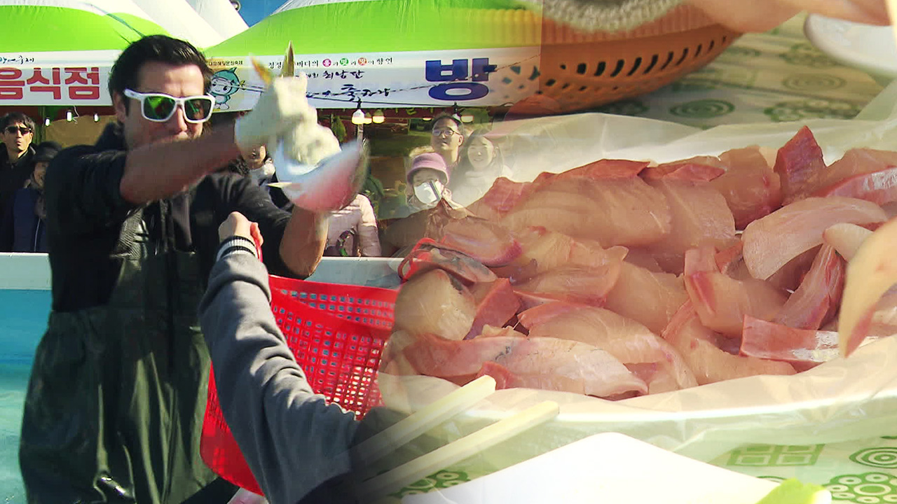 “제철 방어 맛보세요”…제주 최남단 방어축제