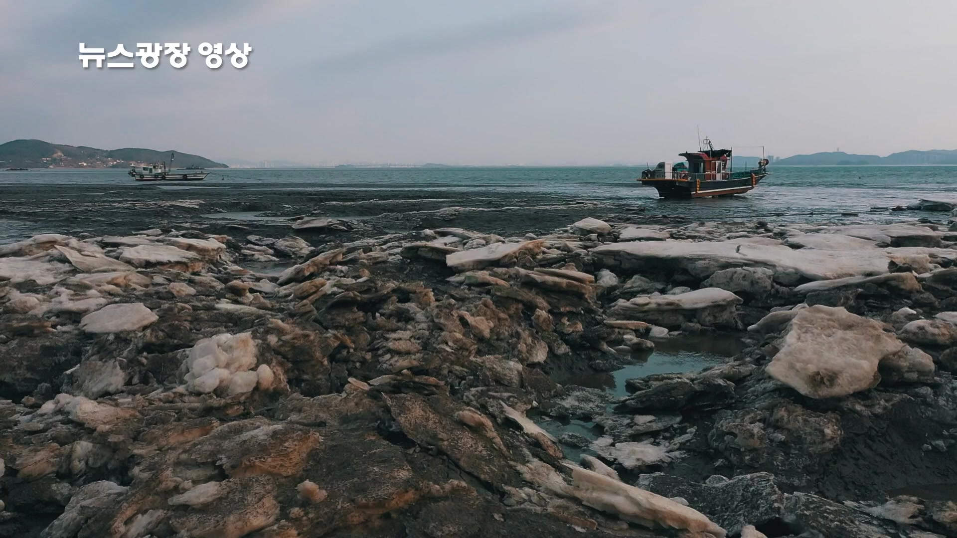 [뉴스광장 영상] 분오리항