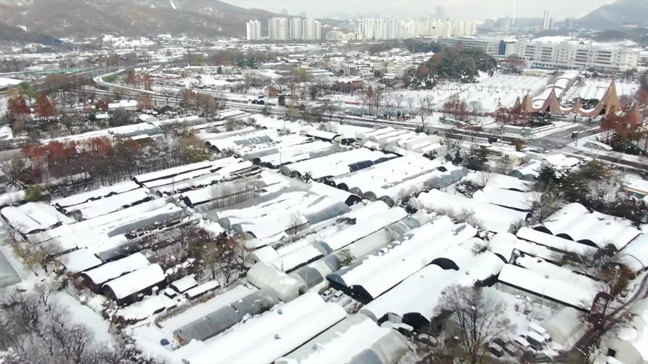 경기 6개 시 특별재난지역 선포…제외 지역은 경기도가 직접 지원