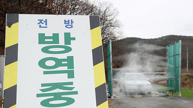 경기도 화성 토종닭 농장서 고병원성 조류인플루엔자 발생