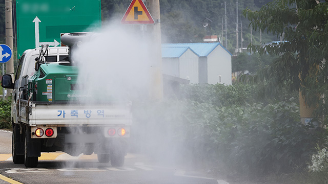 전북 김제 산란계 농장서 고병원성 AI 확인…전국 15건