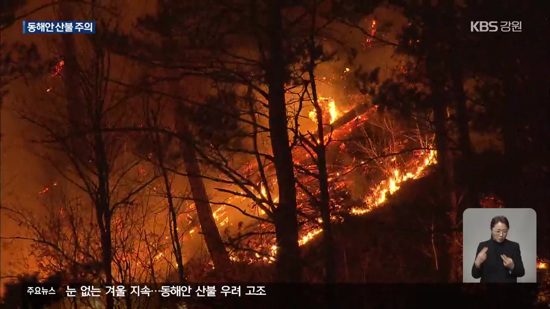 눈 없는 겨울 지속…동해안 산불 우려 고조