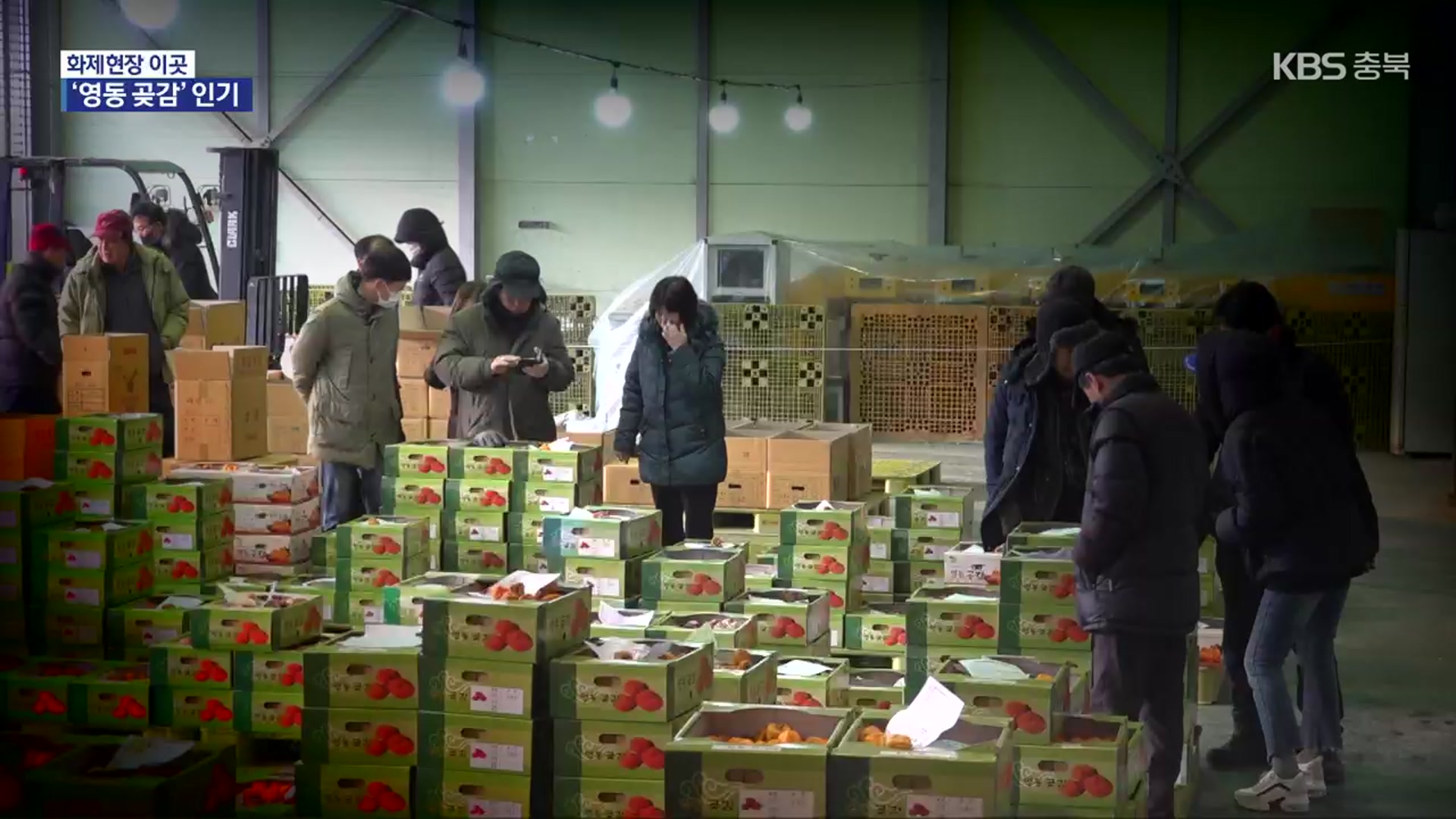 [화제현장 이곳] “값싸고 맛있어”…영동 곶감 경매장 ‘북적’