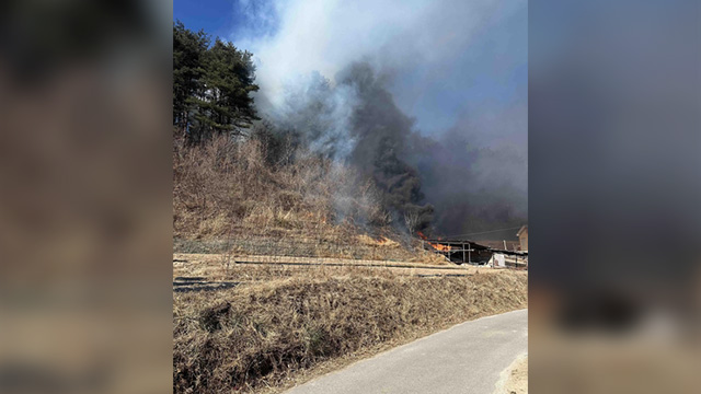 강릉 야산에서 산불…40분 만에 주불 진화