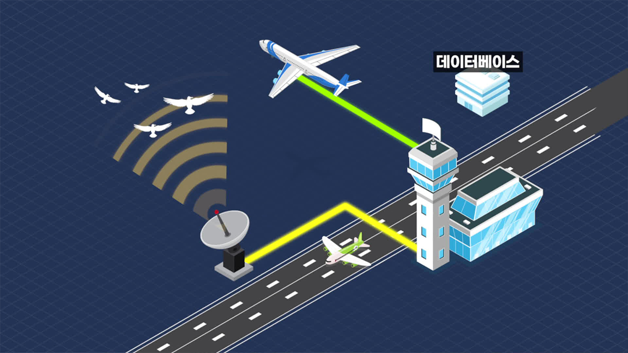 전국 공항에 조류탐지 레이더…예방 인력도 상시 2인 이상 체계로