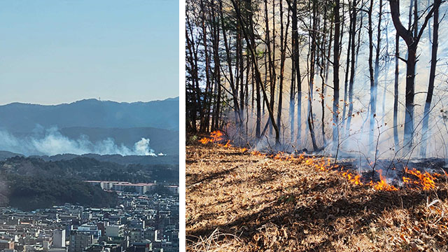 강릉 화목보일러 ‘재’처리 부주의 산불…30분 만에 진화