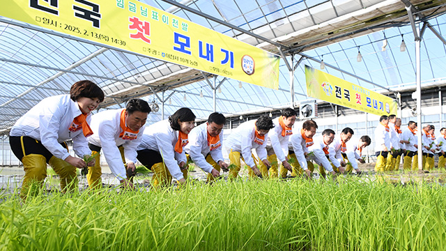 이천서 올해 전국 첫 모내기