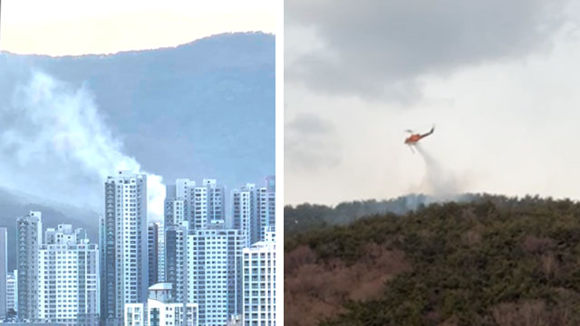 부산 백양산 화재…임야 1,000여㎡ 소실