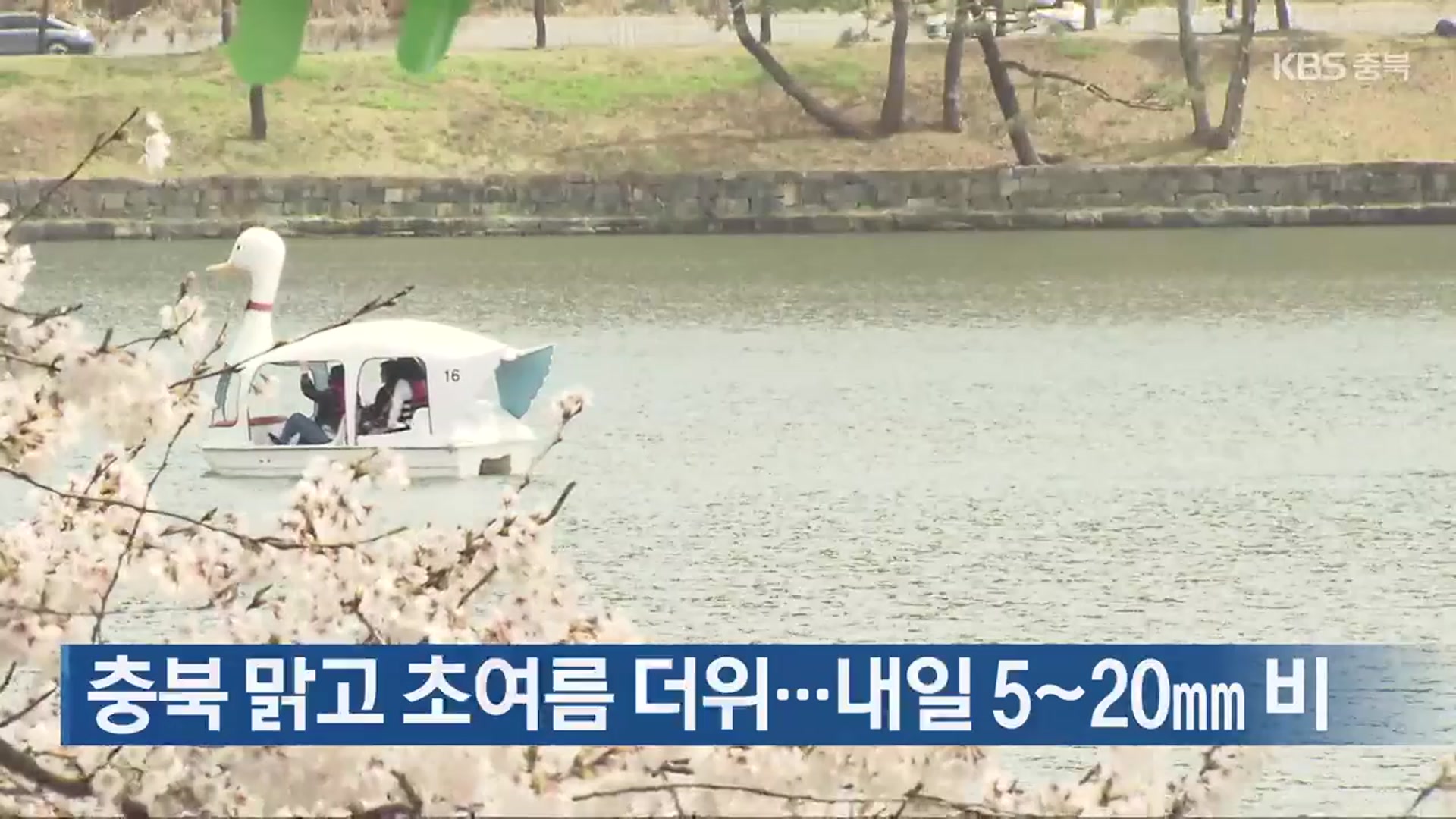 충북 맑고 초여름 더위…내일 5~20mm 비