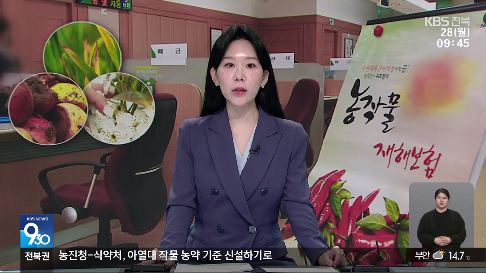 [930뉴스 전북 오프닝]
