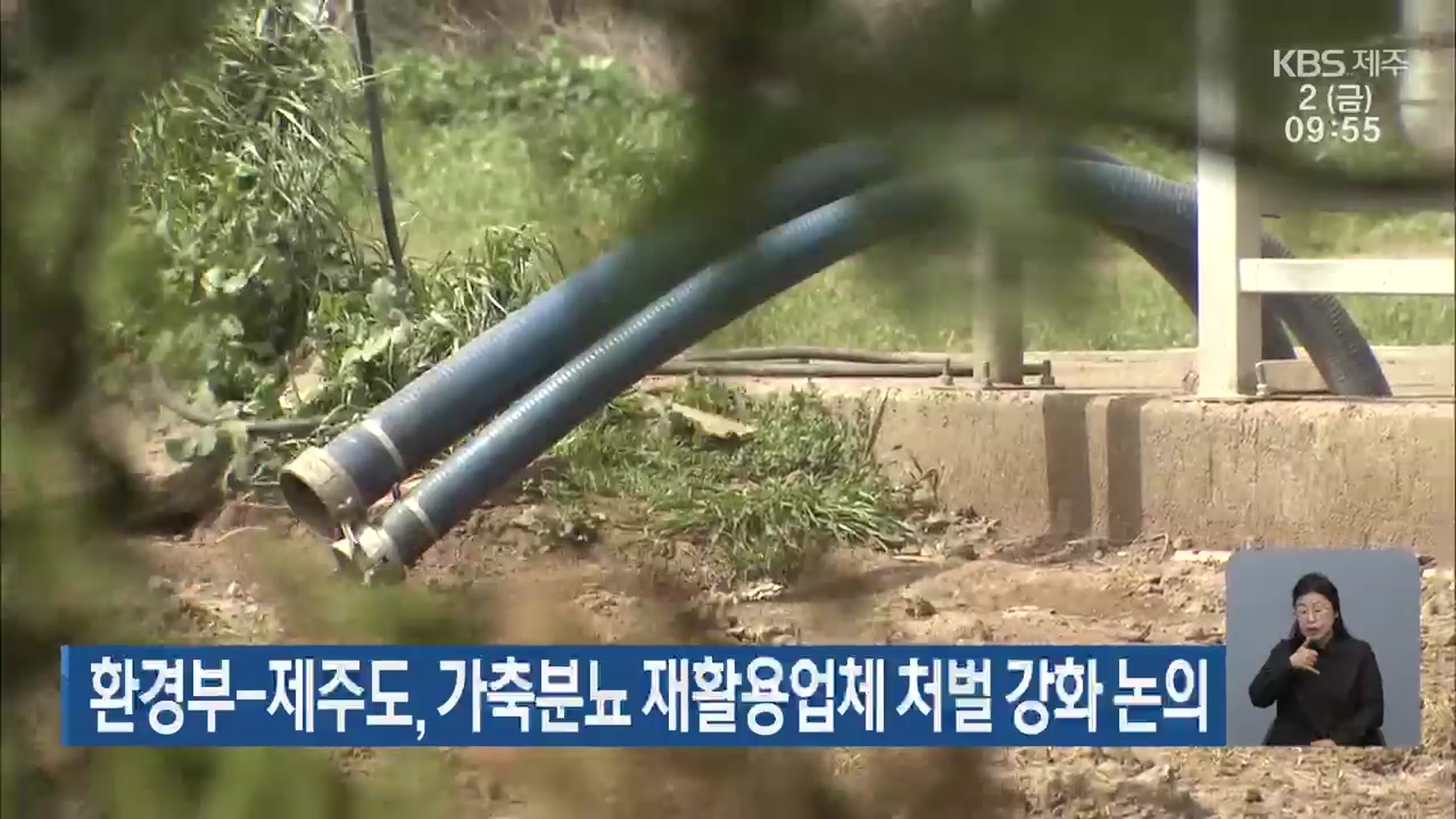 환경부-제주도, 가축분뇨 재활용업체 처벌 강화 논의