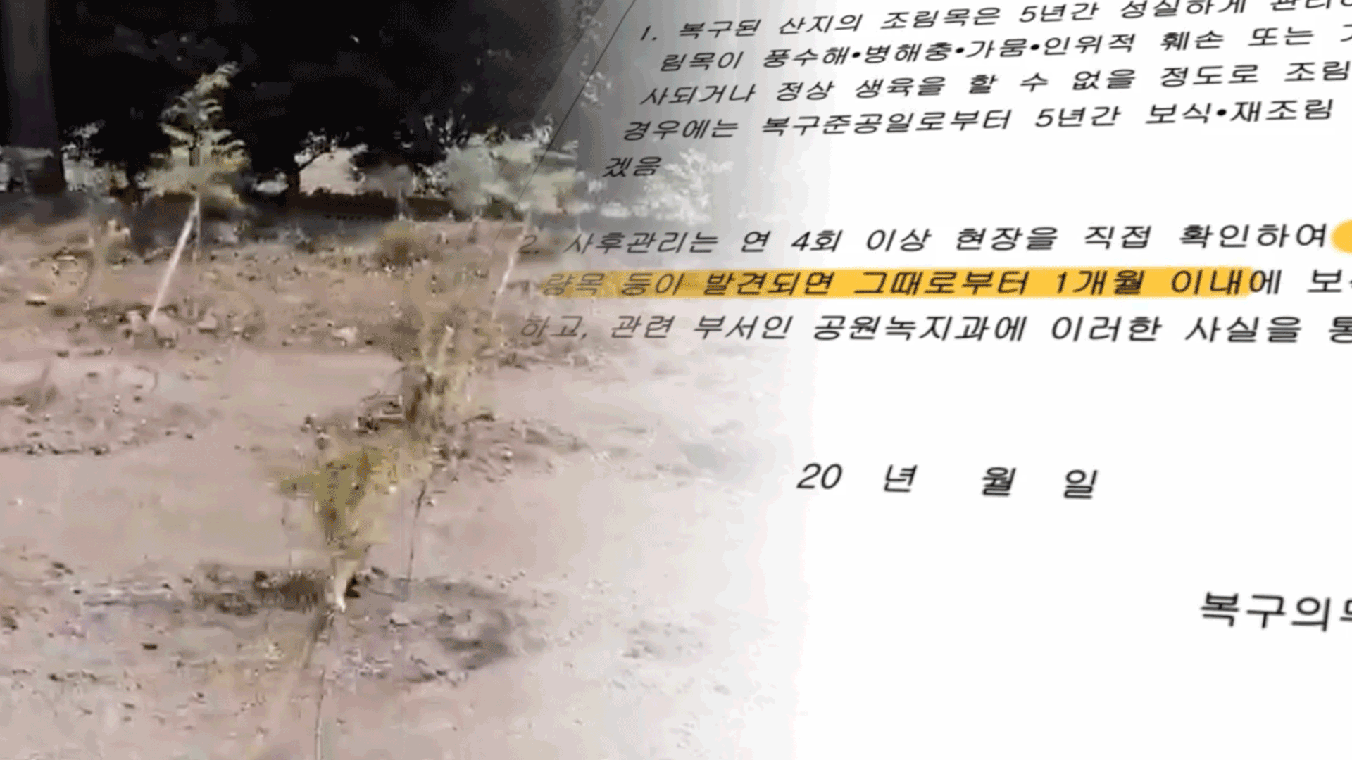 [탐사K] 전국 최초라더니…“원상복구 지침 유명무실”