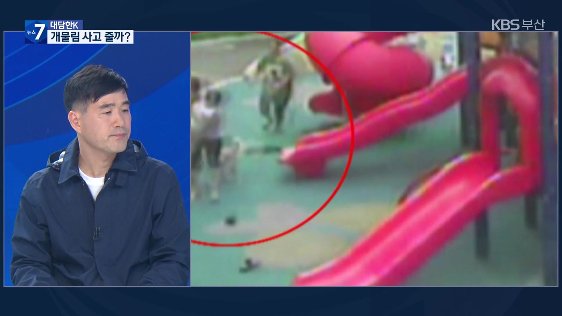 [대담한K] 맹견 키우려면 허가받아야…기질 평가 어떻게?