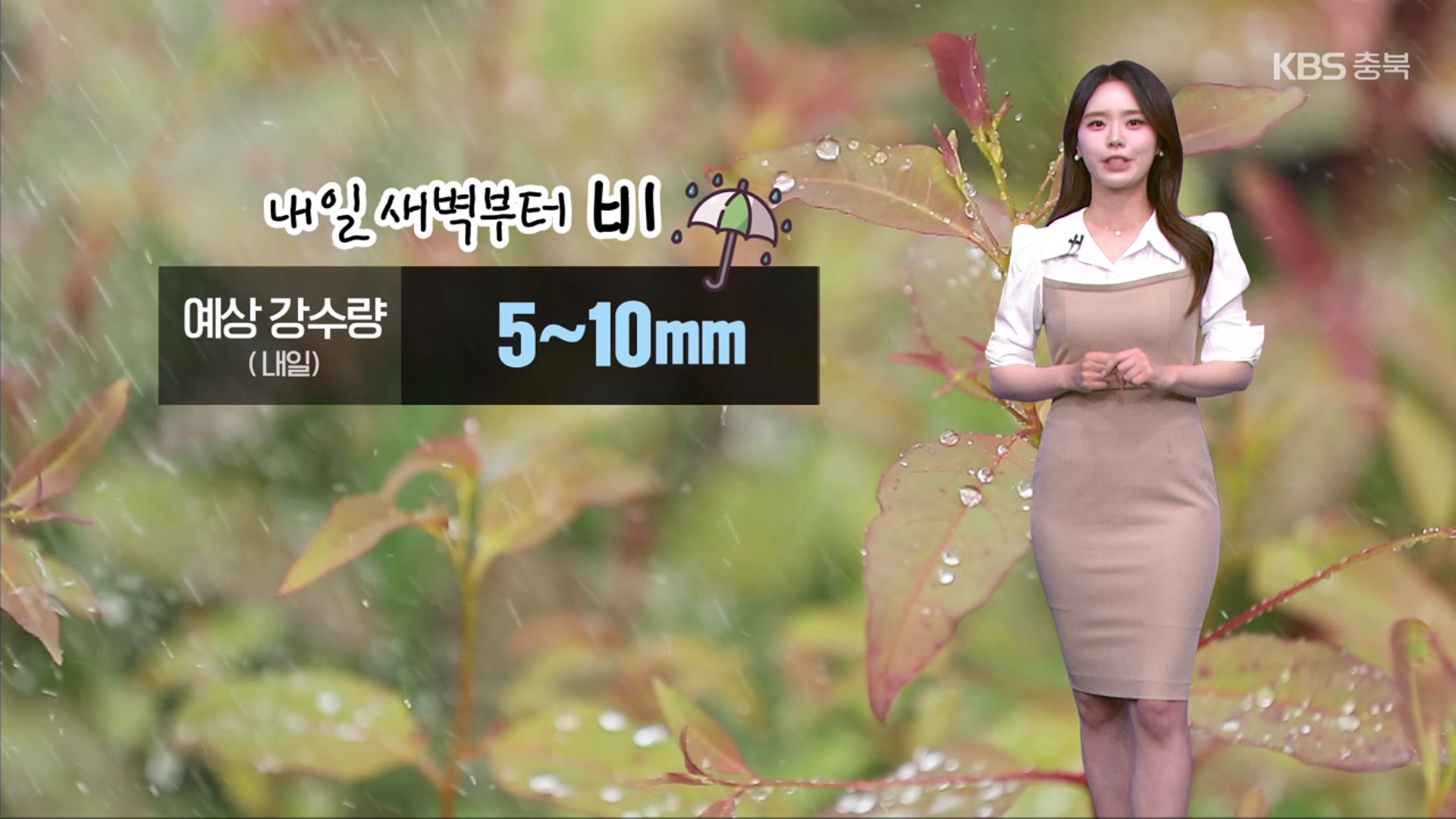 [날씨] 충북 내일 비 소식…때 이른 더위 주춤