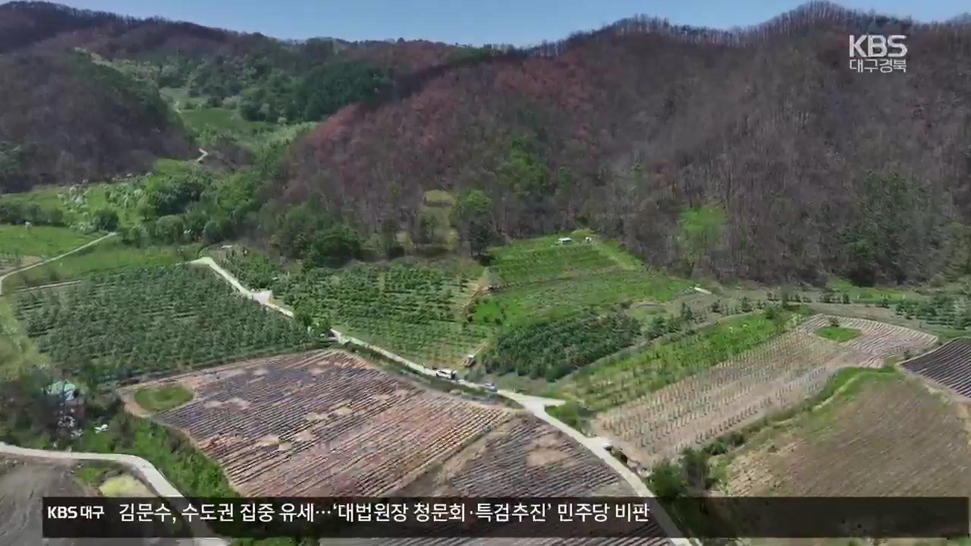 사과 주산지 청송, 산불 피해로 기반 ‘휘청’