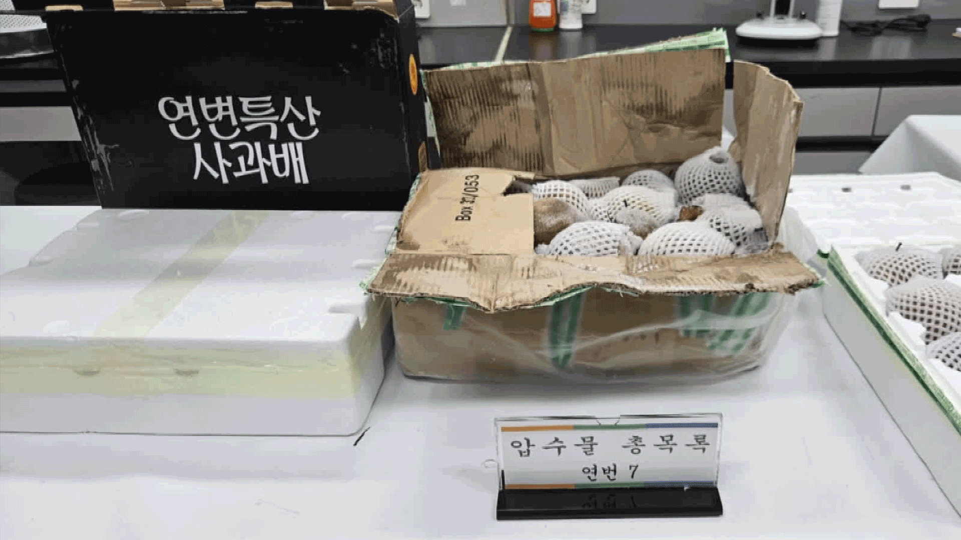 “연변 사과배, 가격차 8배에 수입 금지품도 밀수”