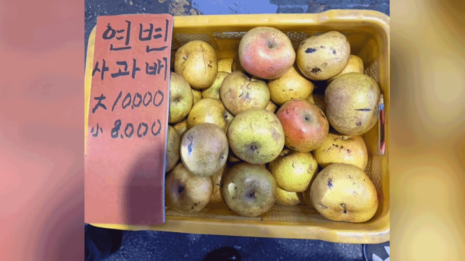 “연변 사과배라고요?” 과일값 치솟자 밀수 활개