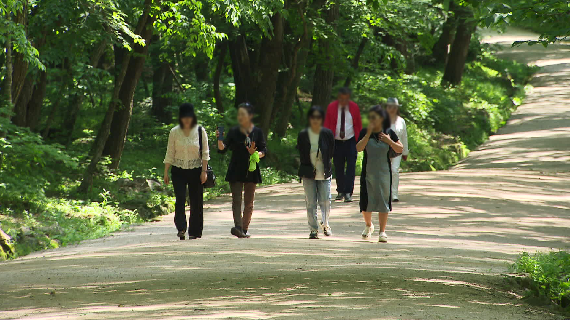 ‘시간을 걷다’ 역사와 자연이 만나는 숲길