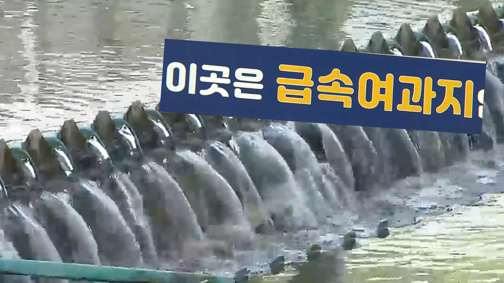 정수장 곳곳에서 ‘과불화 화합물’…“기준 강화해야”