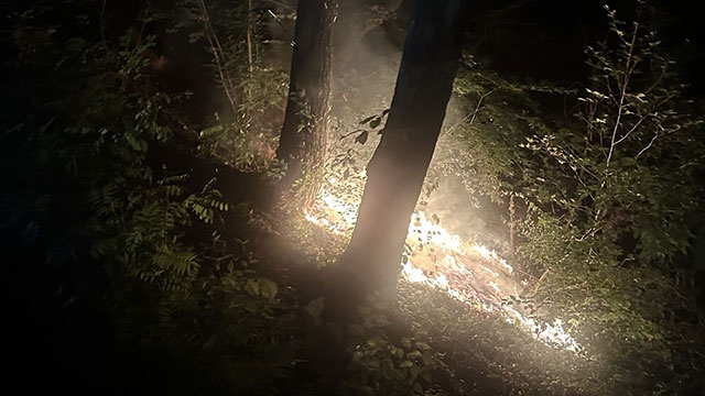 서울 용산구 한남동 야산에서 불…인명 피해 없어