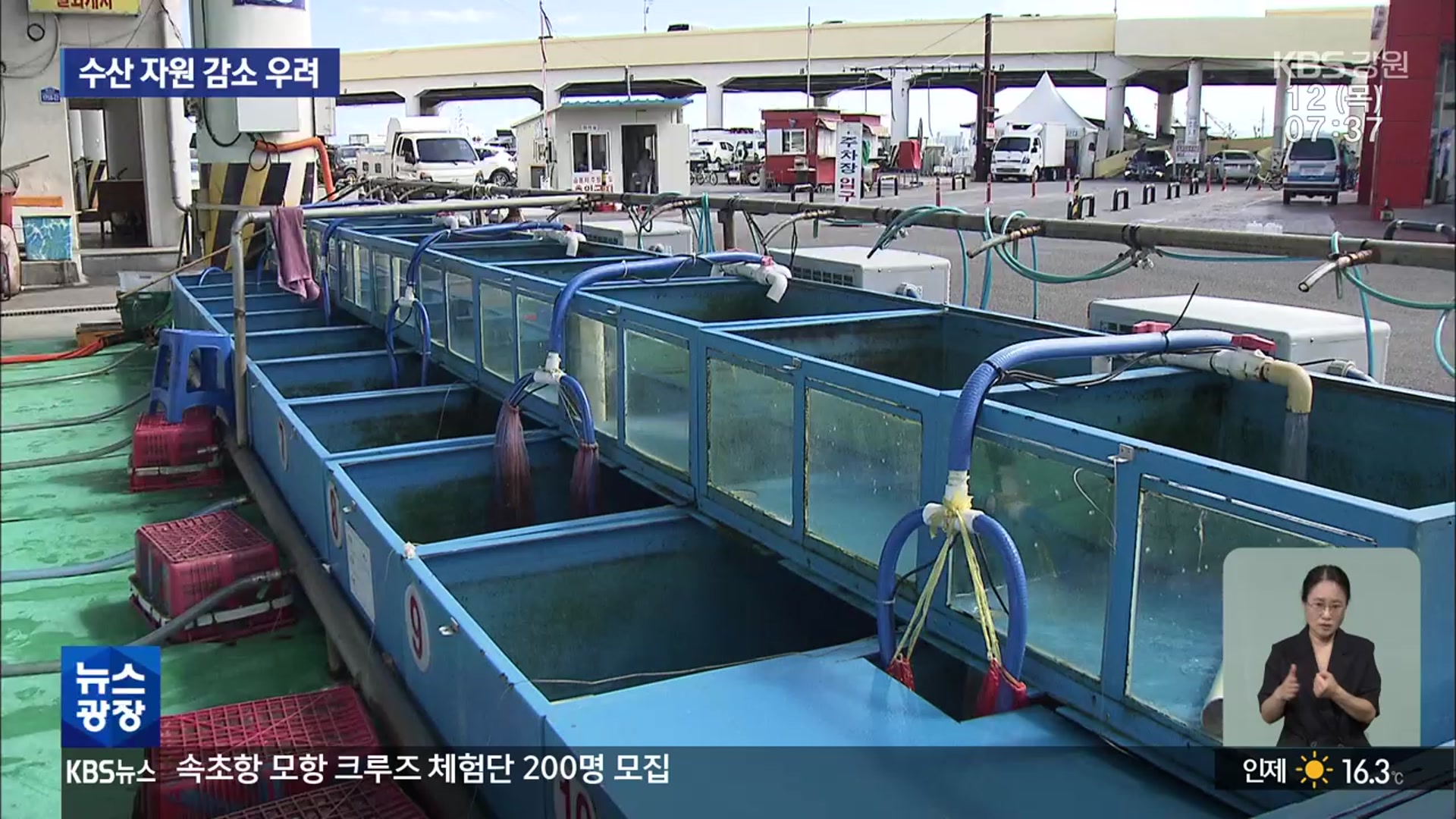 [뉴스광장 강원 풀영상]