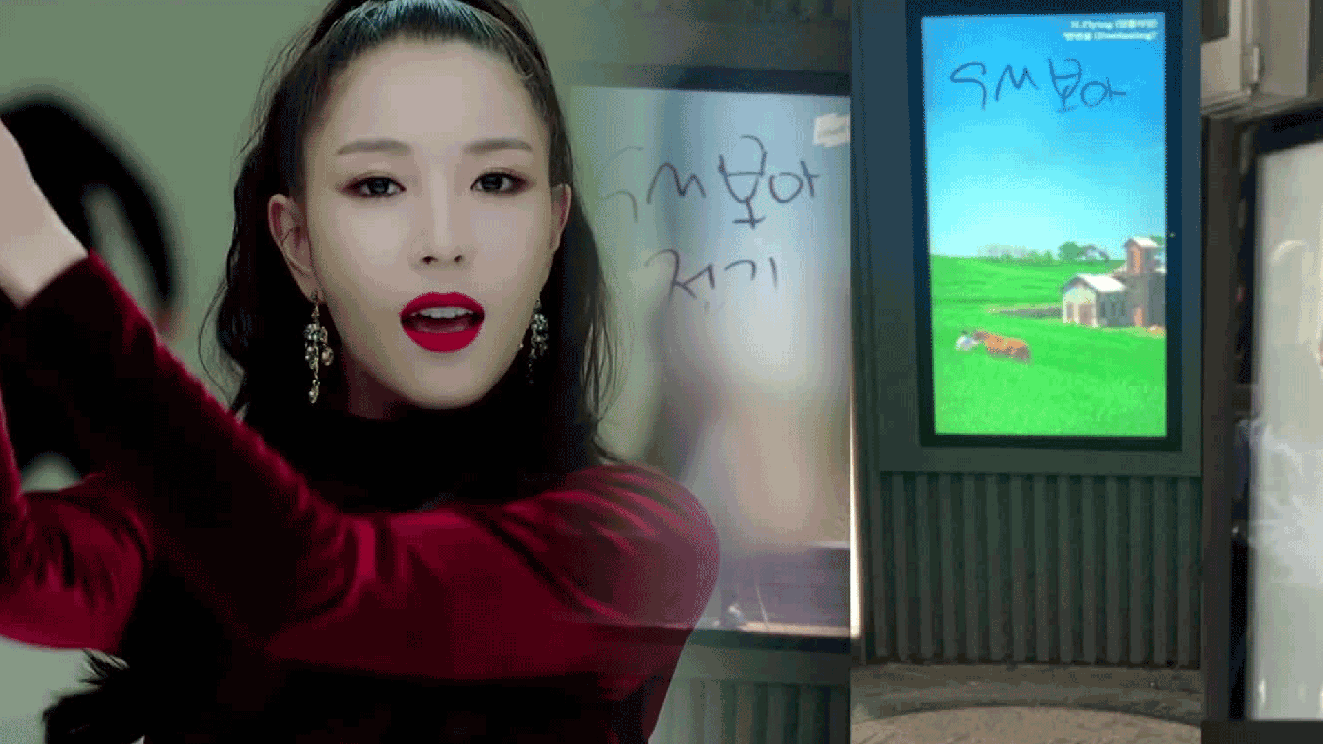 [잇슈 컬처] 서울 곳곳에 보아 비방 ‘낙서 테러’…경찰 수사 중