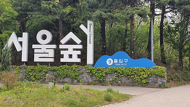 서울숲 공원 산책로에 불 지른 러시아 관광객 2명 체포
