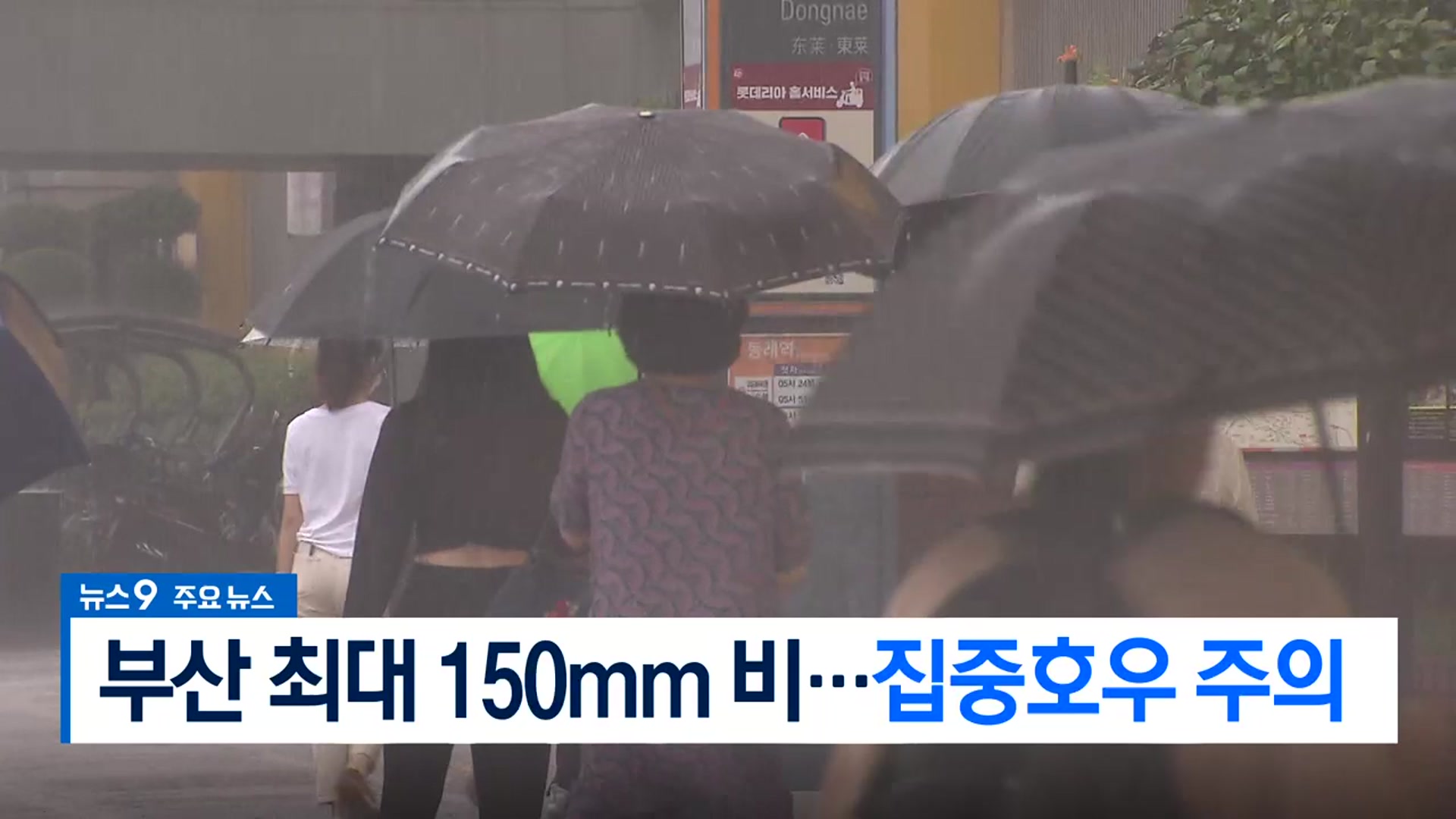 [뉴스9 부산 헤드라인]