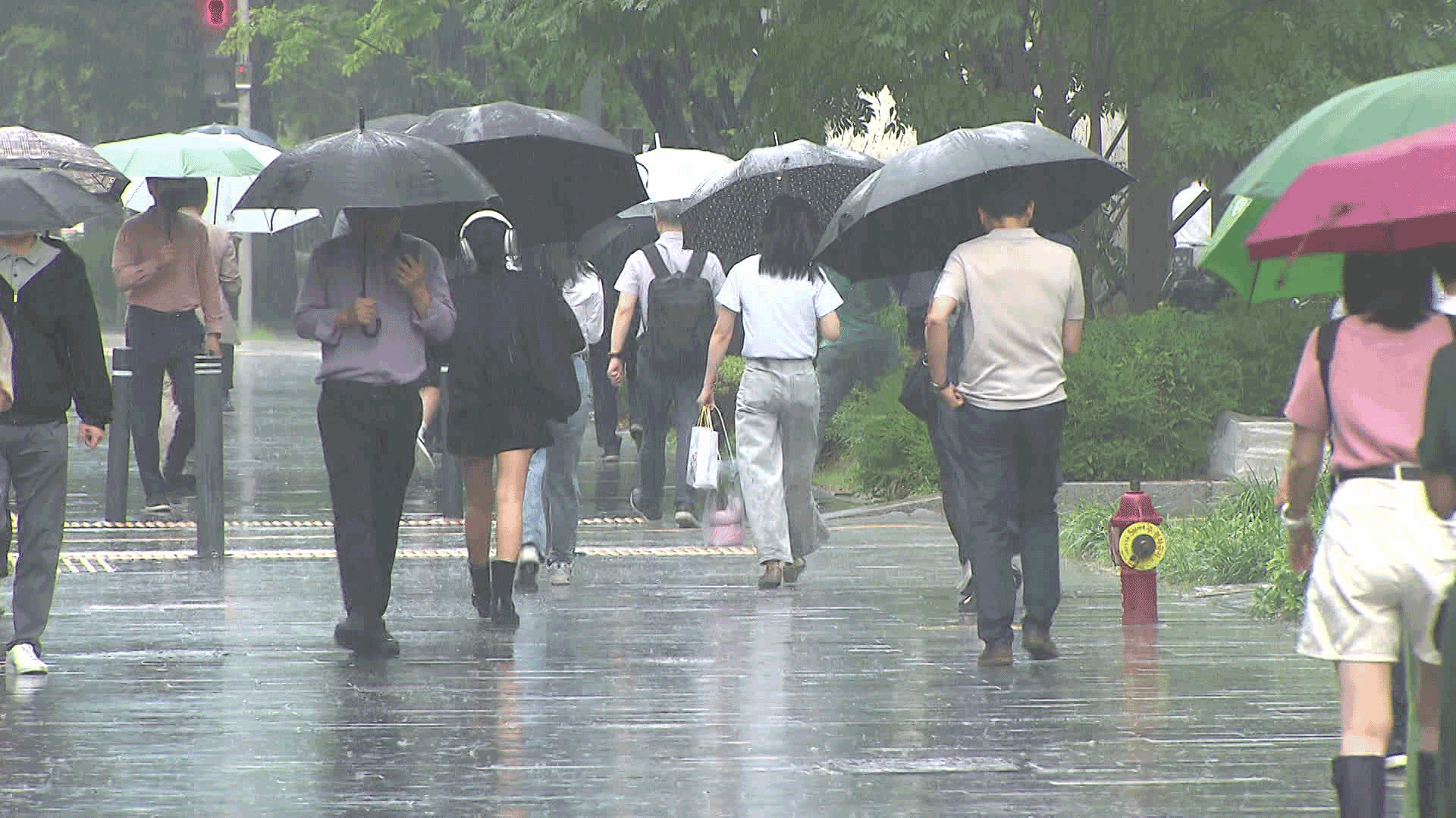 내일 중부도 장마 돌입…국지성 폭우 예상