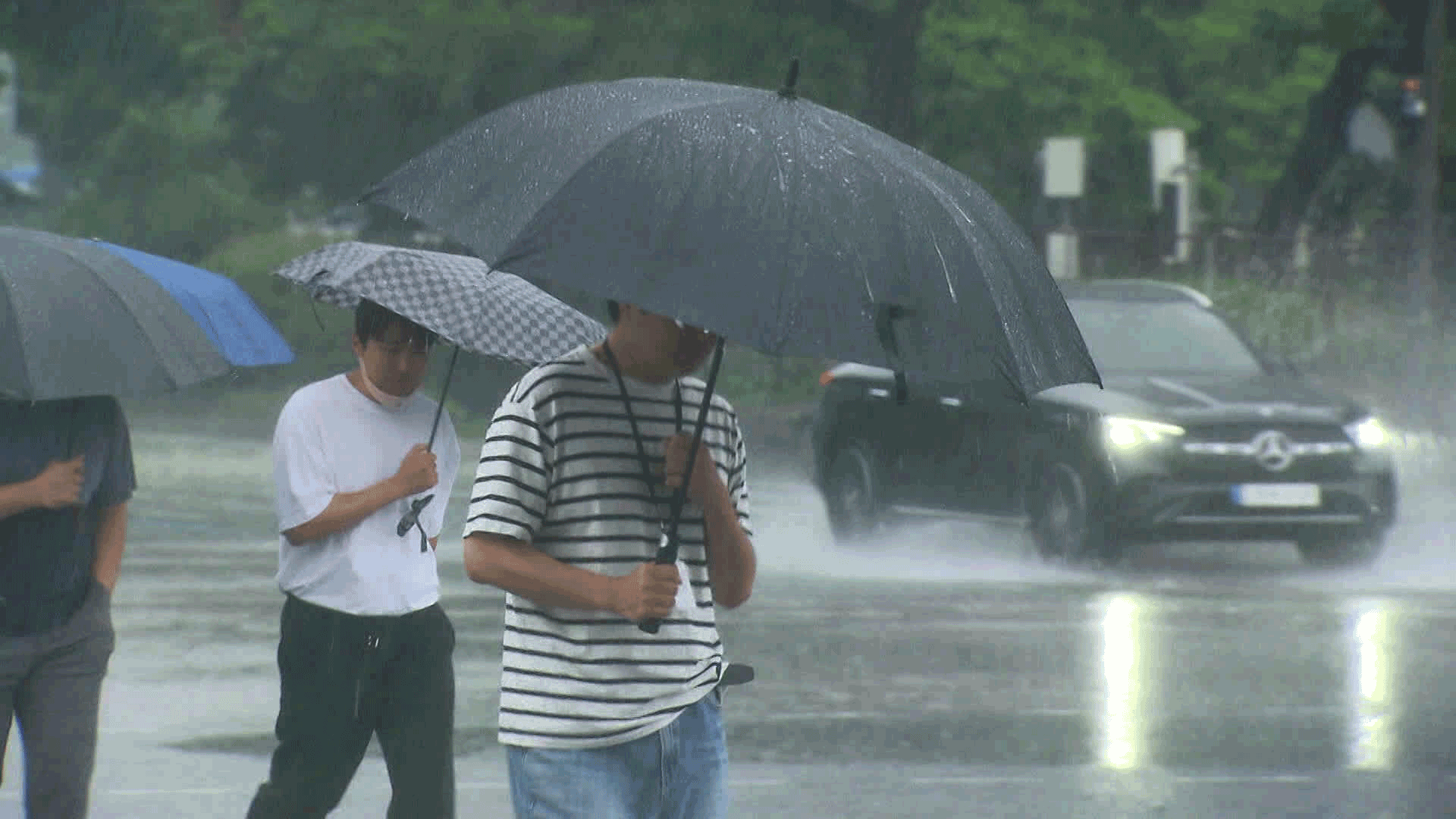 19일 중부도 장마 돌입…국지성 폭우 예상