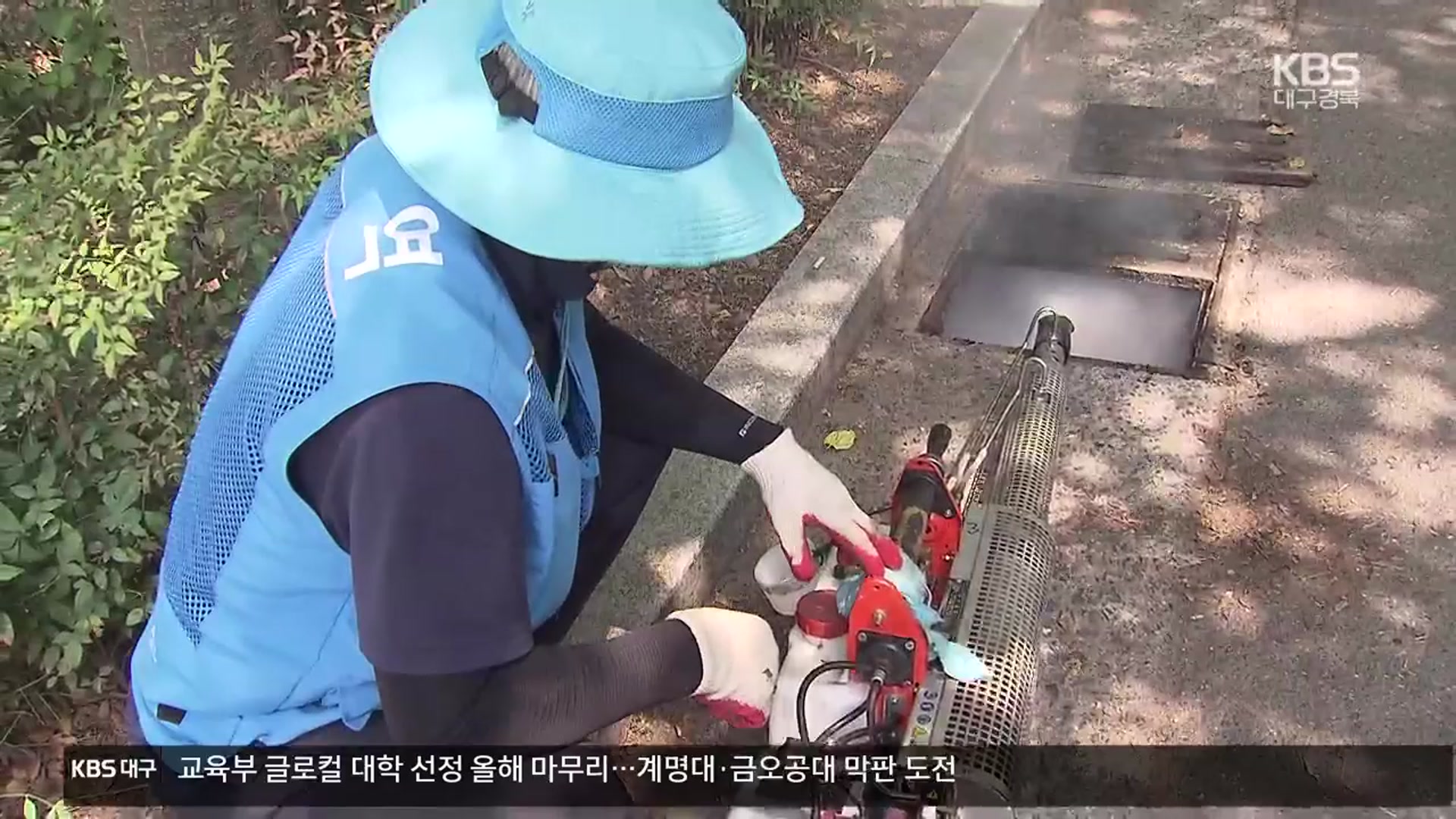 이상기온 ‘모기·진드기’ 급증…감염병 매개체 관리 비상