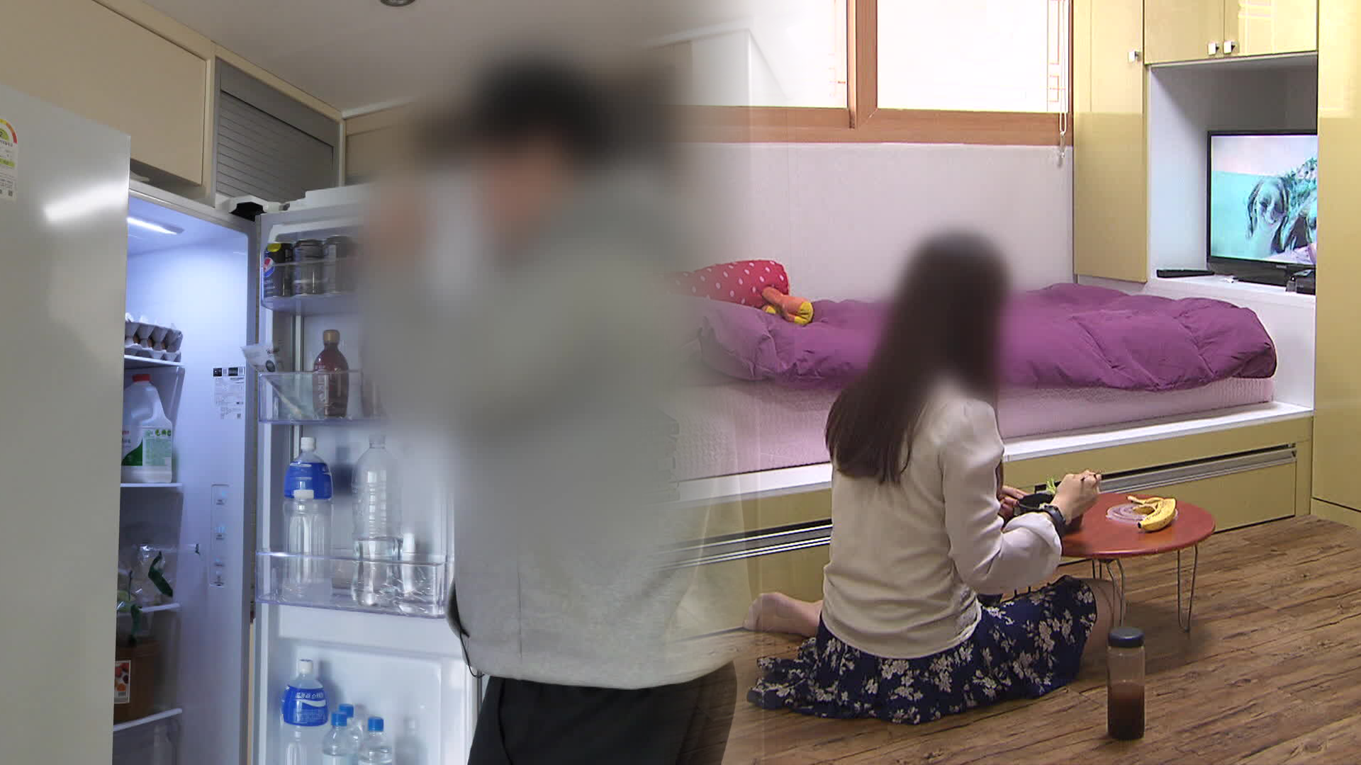 지난해 1인 가구 첫 800만 돌파…맞벌이 가구↓