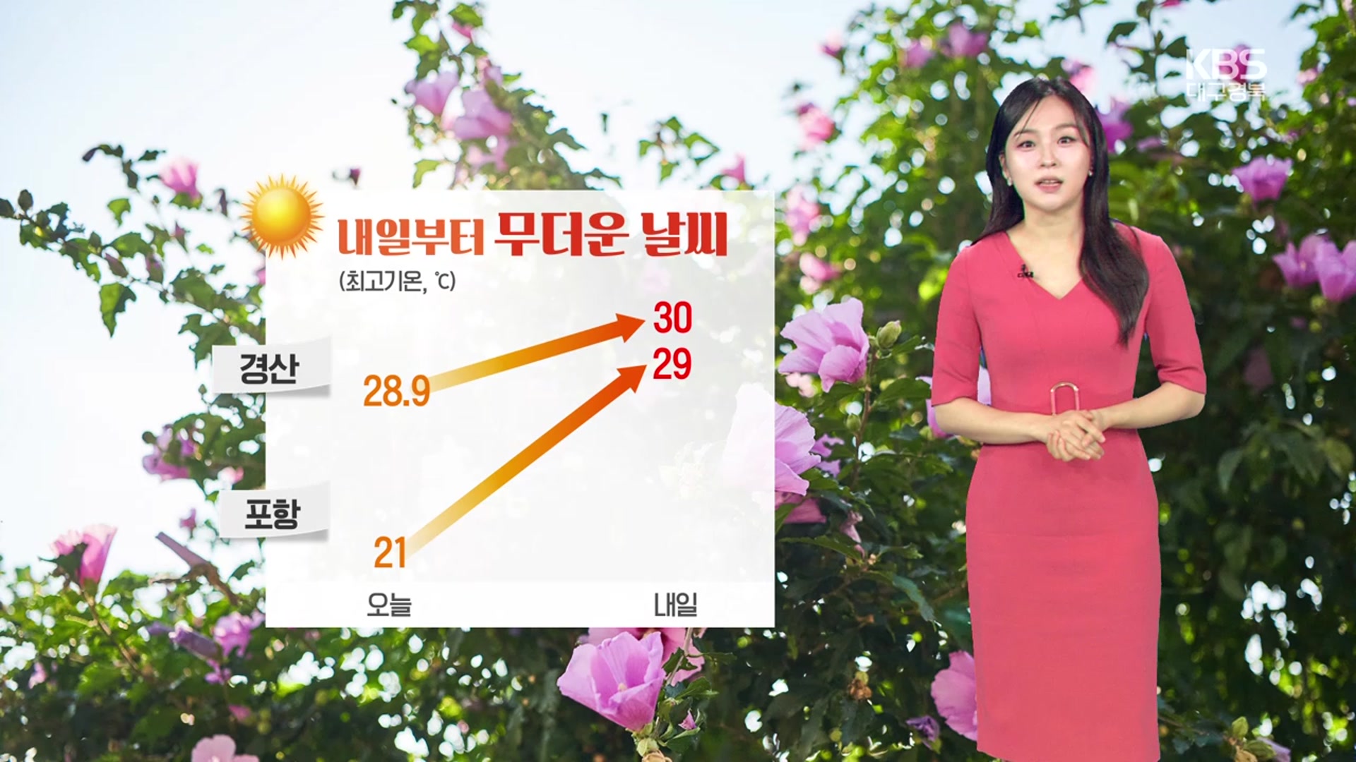 [날씨] 대구·경북 내일부터 무더위…새벽까지 5~10mm 비