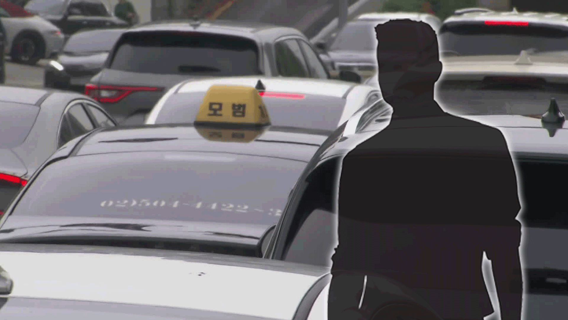 택시기사 살해 뒤 택시 몰고 행인 덮친 20대 긴급체포